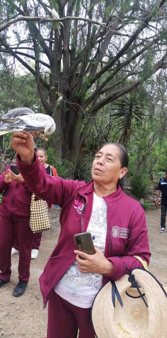 SMDIF Cuautlancingo lleva a Africam Safari a adultos mayores