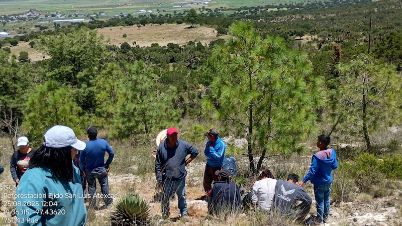 Reforesta Altosano Granjas Carroll en San Luis Atexcac, como parte de agenda con la ONU