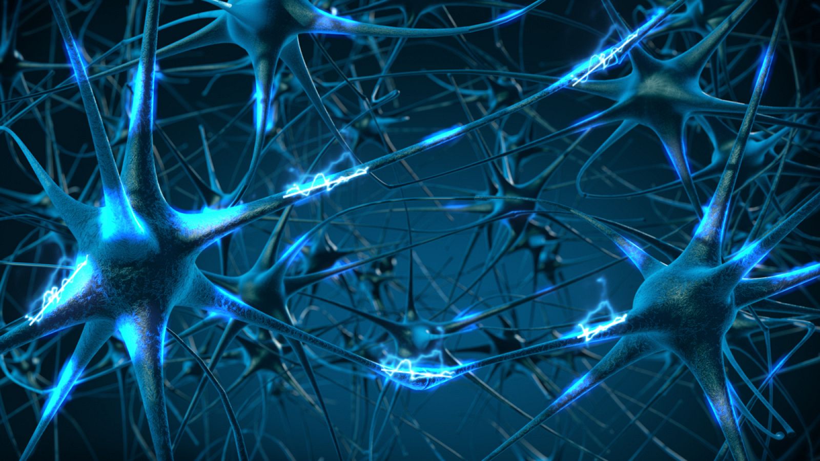 El cerebro “se ilumina” entero: registran más de 600 000 neuronas activas en el mapa más completo de toma de decisiones