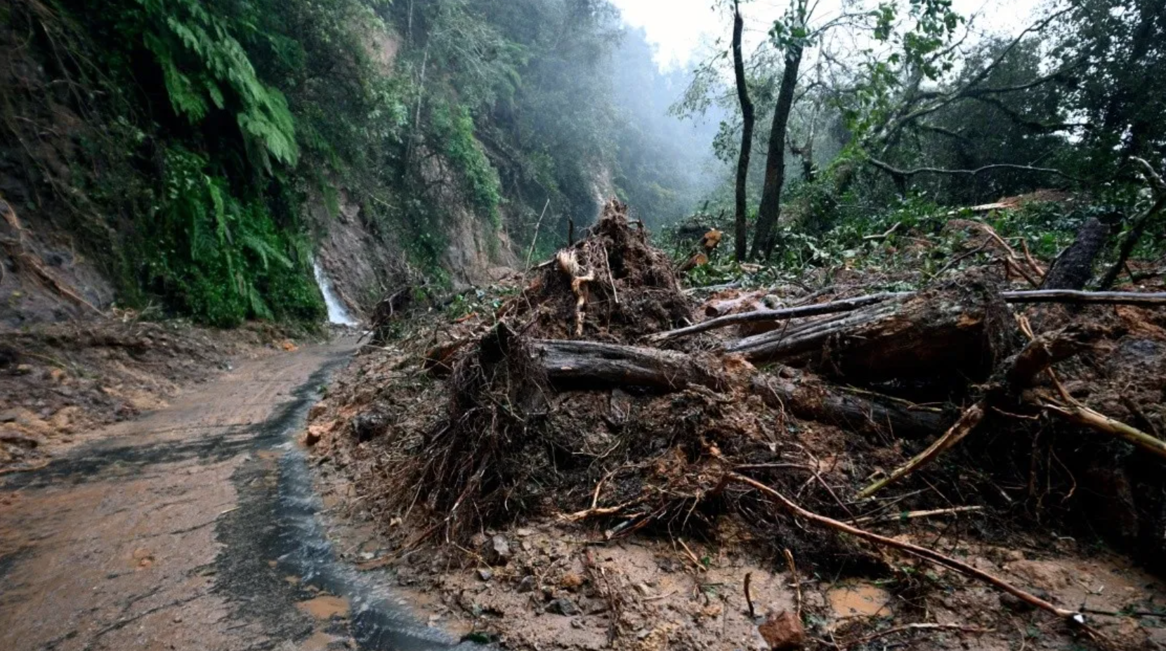 Avanza recuperación en estados afectados por lluvias: caminos reabiertos y reducción de comunidades incomunicadas