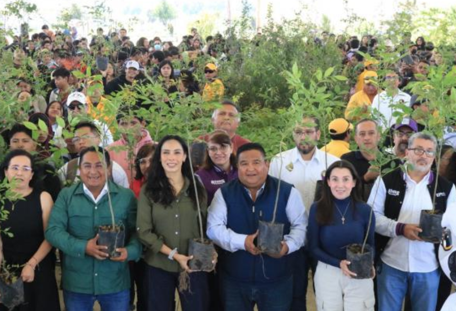 Con 1 millón 605 mil árboles, Gobierno de Puebla nutre el bosque