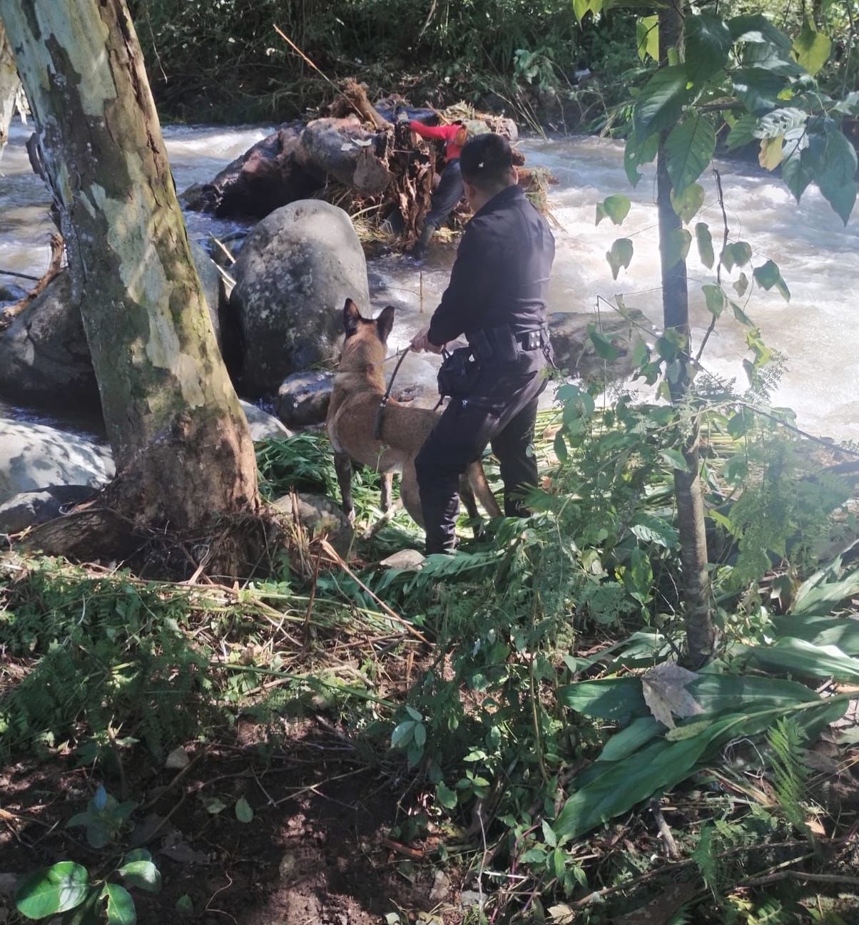 Sigue Evacucion personas y busqueda de desaparecidos en Sierra de Puebla