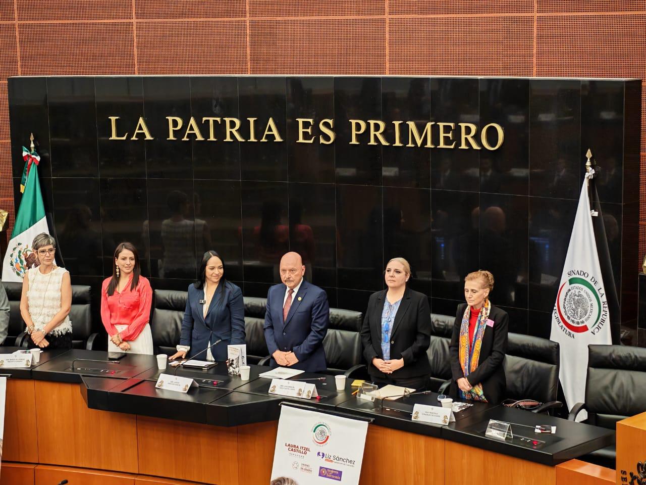 Difunde SEDIF modelo Centro LIBRE-Casa Carmen ante el Senado