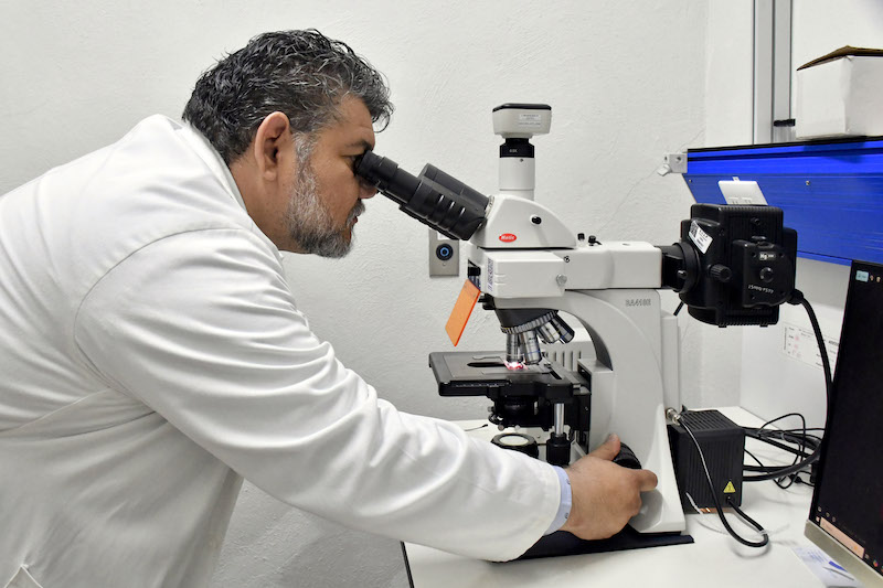 Desarrolla BUAP biosensores para detectar bacterias patógenas y toxinas