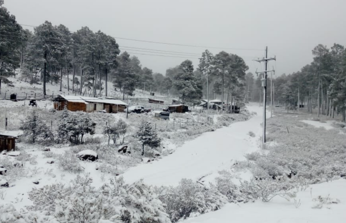 El frío se siente con fuerza: cinco estados podrían despertar bajo la nieve