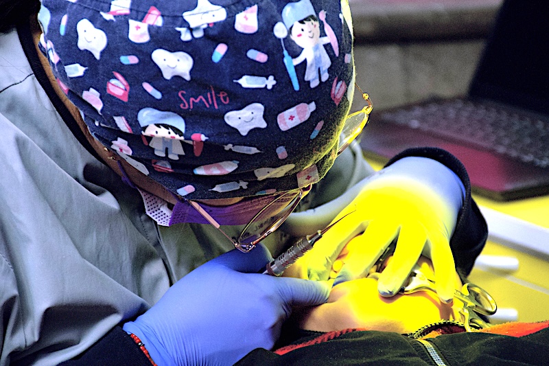 Investigadores BUAP buscan mejorar la atención dental en pacientes pediátricos