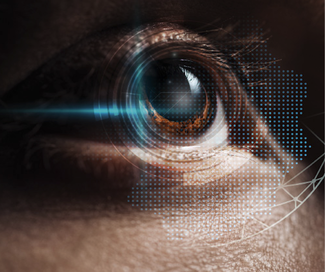 Investigadores del INAOE lideran la creación del “Roadmap” en Óptica Visual y Fisiológica