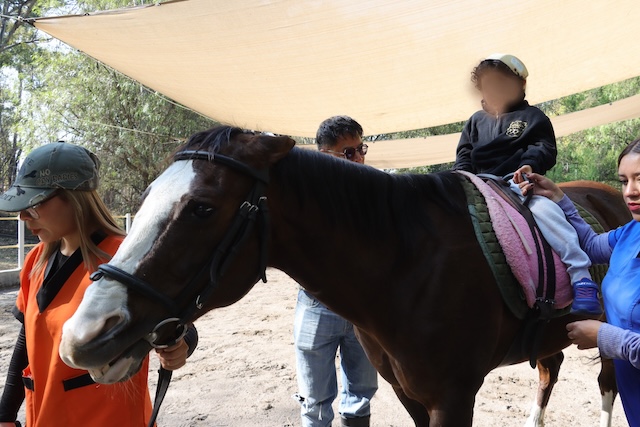 Terapia a la niñez mediante Equinoterapia
