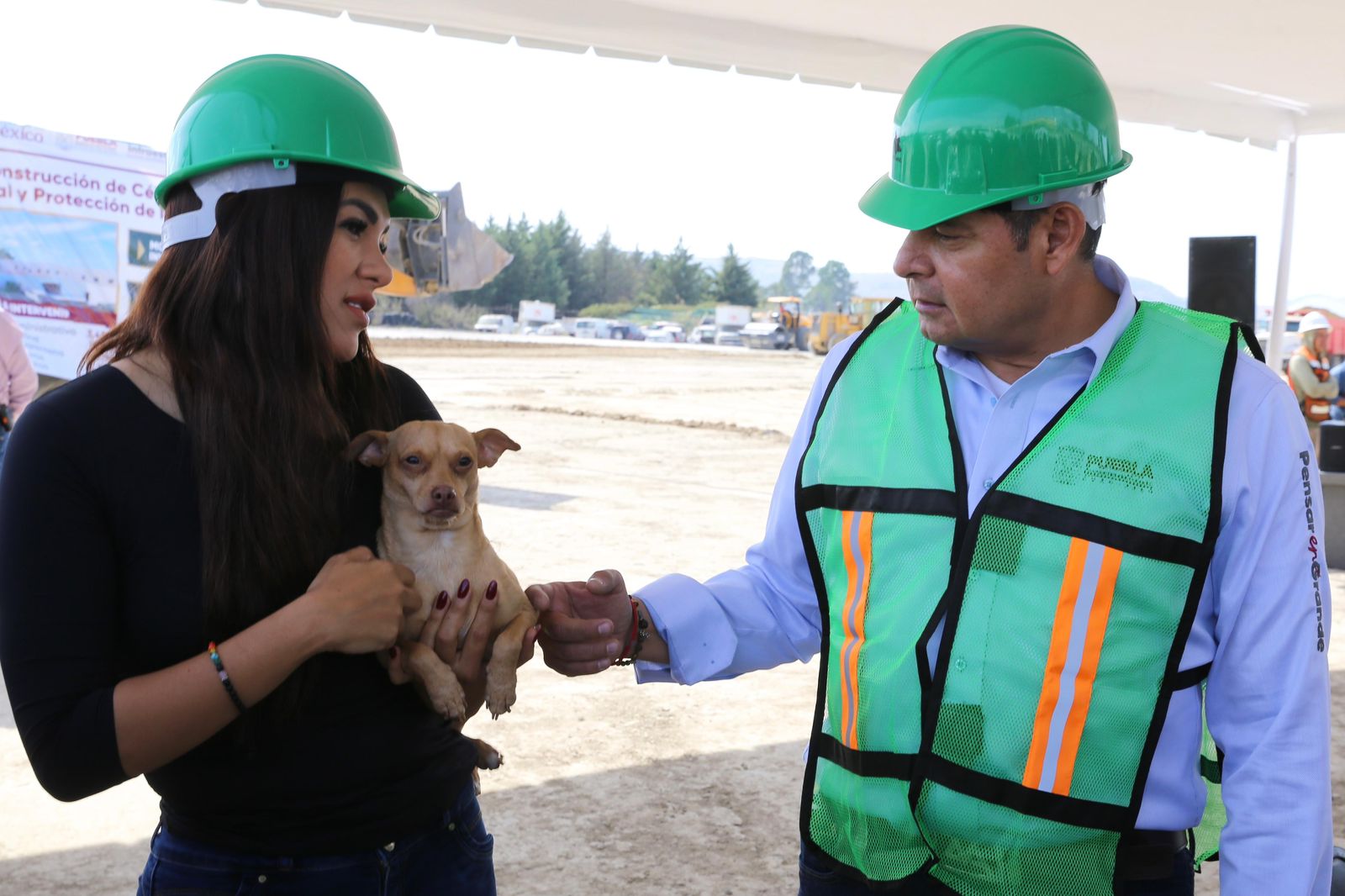 Armenta pide a “reyes magos” no comprar mascotas