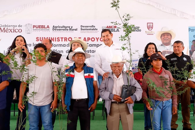 Titánica siembra de plantas en Puebla; se atendieron 304 incendios forestales