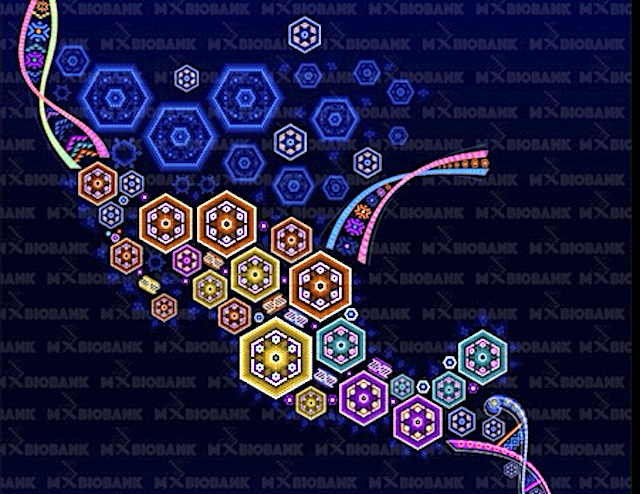 Genes indígenas, europeos y africanos en el mexicano