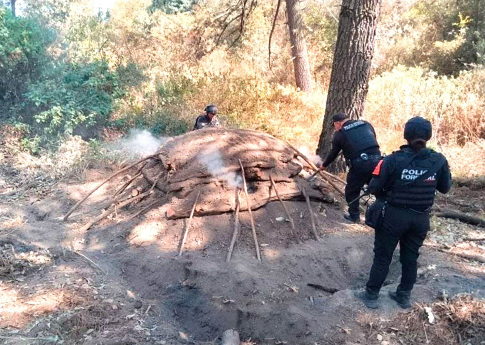 Elimina Policía Forestal seis hornos clandestinos para procesar madera