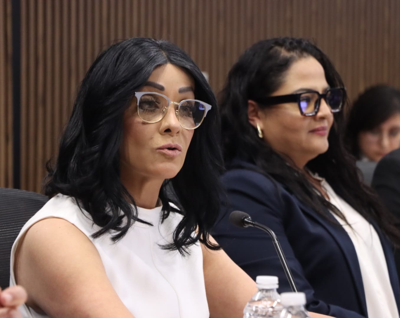 Rosa Isela Sánchez Soya, cumplió y compareció ante diputados
