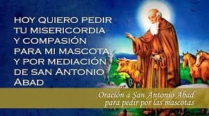 Fiestas de San Antonio Abad, protector de animalitos y pirotécnicos en Cholula