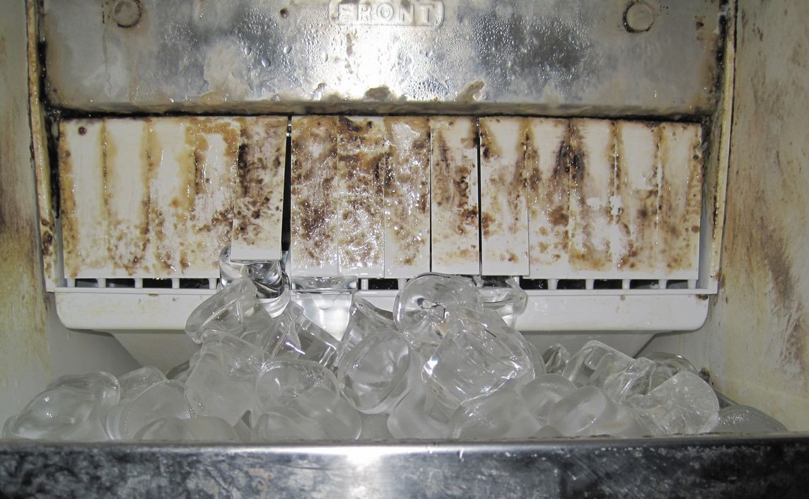 El «Hielo Sucio»: Por qué esa bebida refrescante podría ser un nido de bacterias fecales