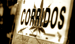  Narcocorridos, fuera de espectáculos en Puebla. ¿Estás de acuerdo?