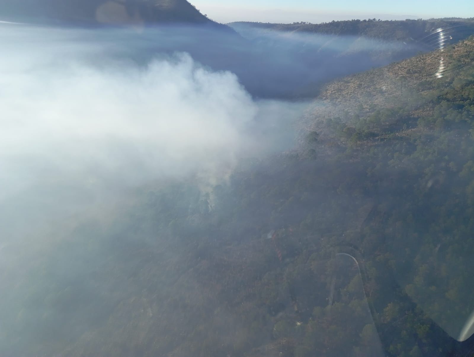 Incendio forestal en Oriental registra 90 por ciento de control y 60 por ciento de liquidación