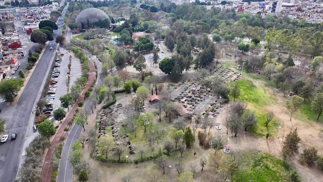 Gran cruzada de reforestación en CIS, y Parques Ecológico y Juárez; sembrarán 10 mil árboles 