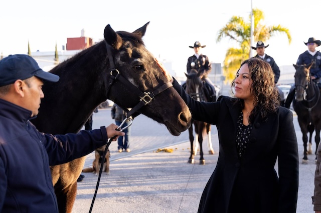 Mascotas guardianes del orden objeto de reconocimiento en San Andrés Cholula