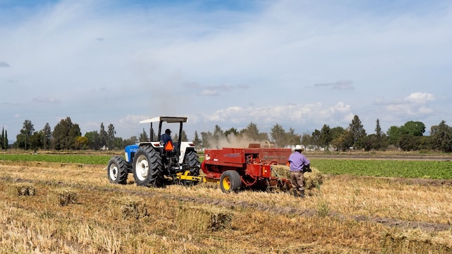 2026 será el año del agro poblano, señala Armenta