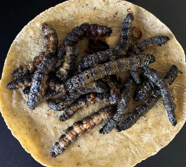 La gastronomía tradicional de Cholula, patrimonio biocultural sostenible