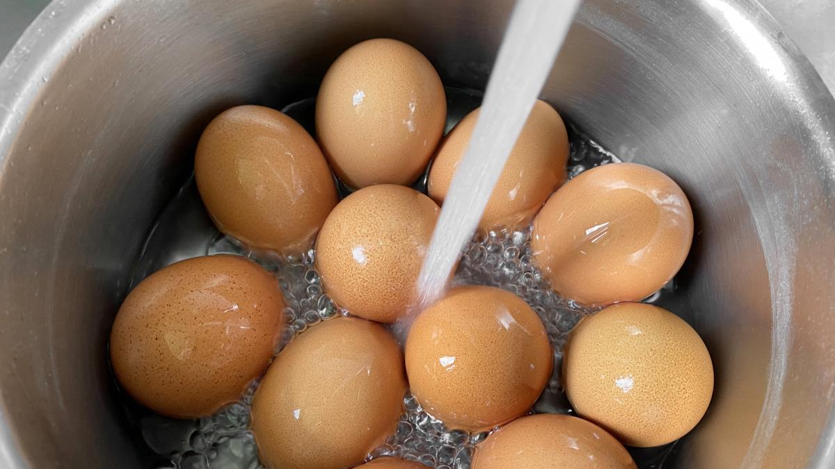 🥚 La «Trampa de la Cáscara»: Por qué nunca deberías lavar los huevos antes de guardarlos