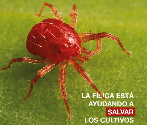 La Física para proteger cultivos prioritarios