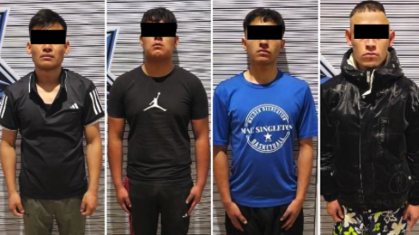 Fuerzas de seguridad debilitan al grupo delictivo  “La Familia Michoacana”; 9 detenidos