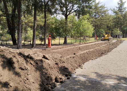 Rehabilitan el Parque Flor del Bosque; otro importante pulmón de la ciudad
