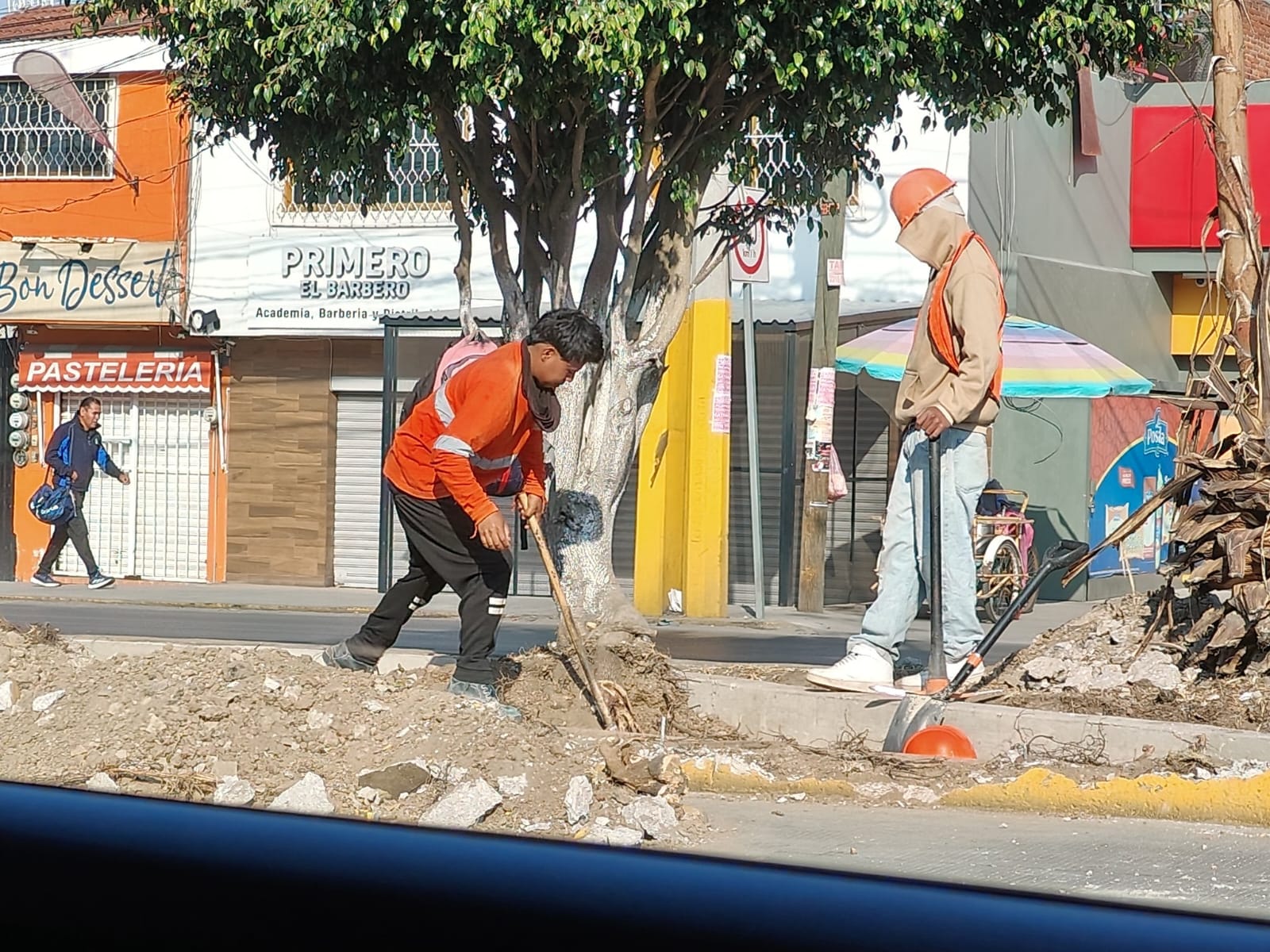 Sin permiso oficial talan árboles en la Calzada Ignacio Zaragoza