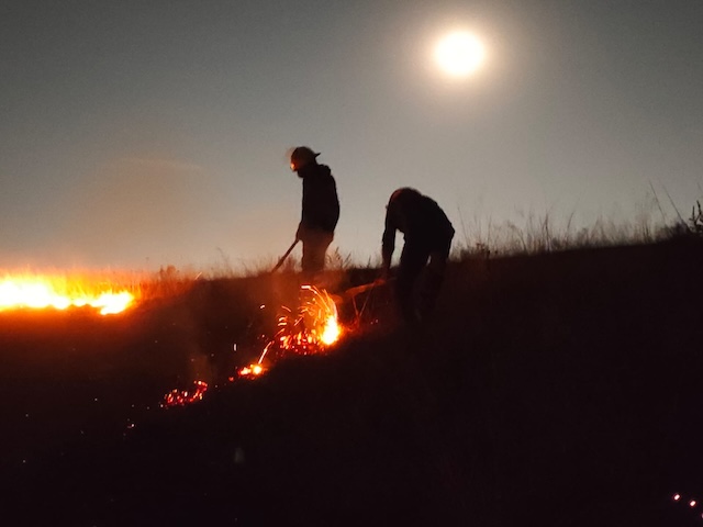 Controlan incendio en el Cerro Zapotecas