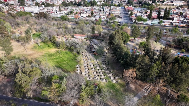 Cinturón verde de Zona Metropolitana generará agua, oxígeno y albergará vida 