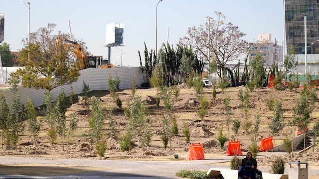 Hechos no palabras: Bosque urbano en CIS y Parque ecológico se fortalecen con 2 mil nuevos árboles