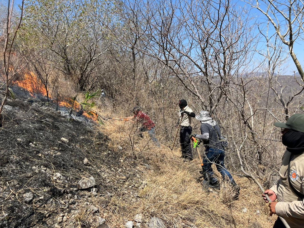 Fue sofocado el incendio de Jolalpan al 100 por ciento