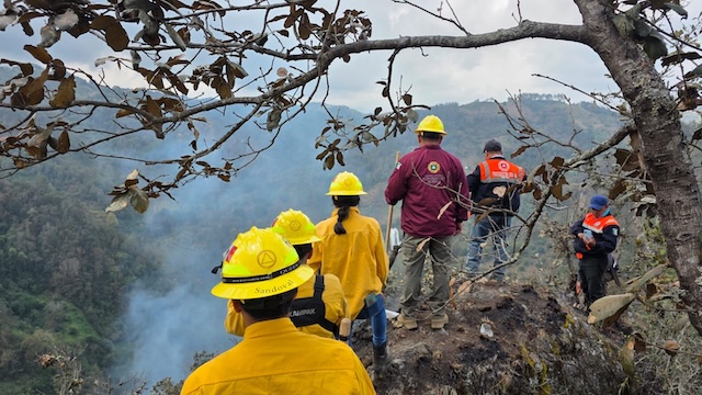 24 incendios van en Puebla en 2026; cero muertos
