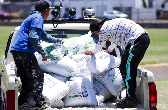 Distribución de insumos y asesoría técnica a productores de San Andrés Cholula