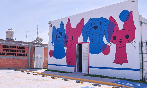 Inauguran Centro de Bienestar Animal en San Andrés Cholula