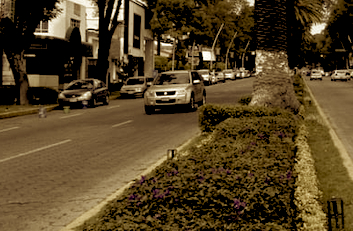 ¿Ventanas de oportunidad… o puertas de muerte?