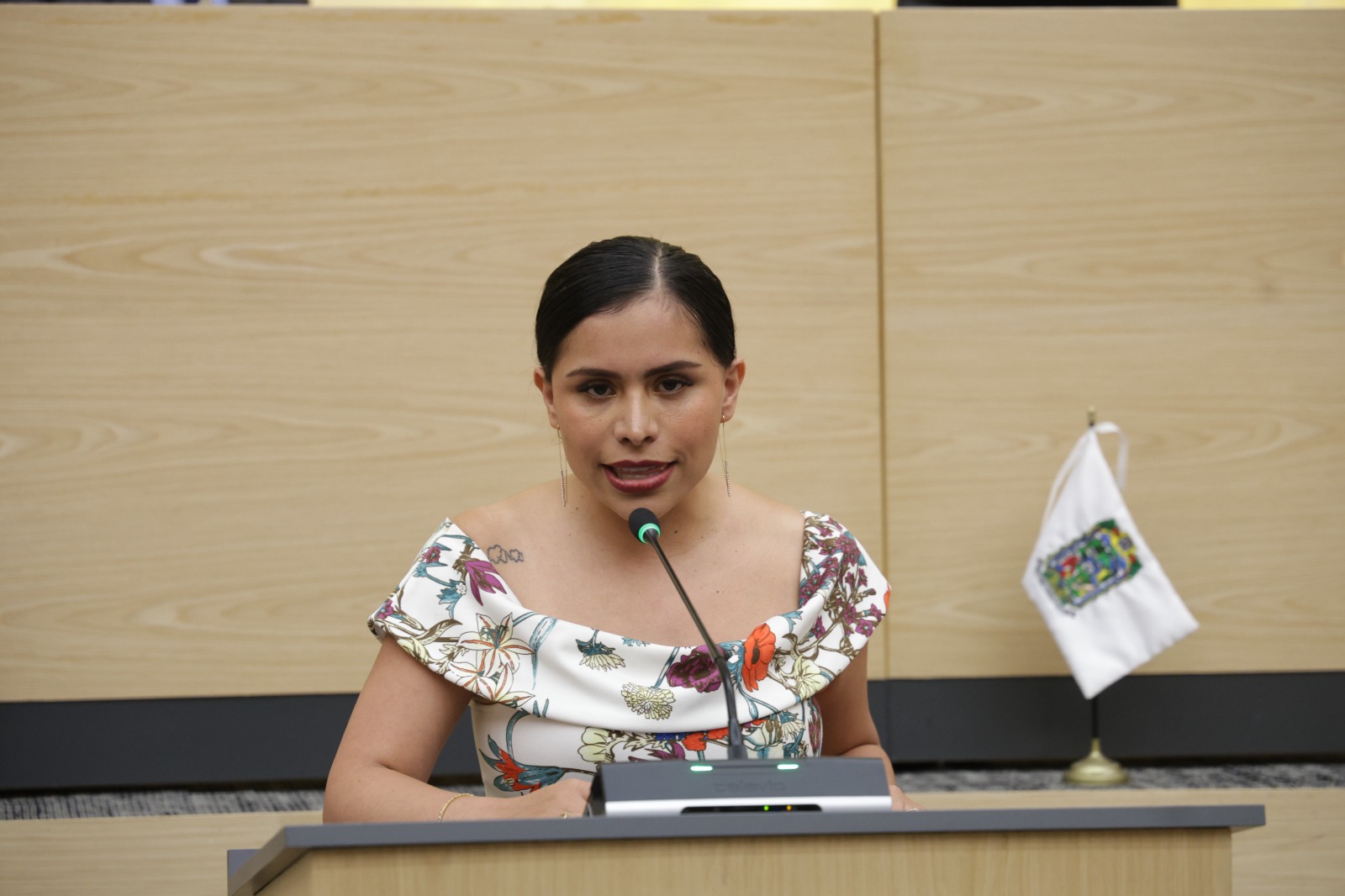 Diputada Kathya Sánchez solicita implementar y fortalecer acciones de prevención de riesgos ante la temporada de lluvias