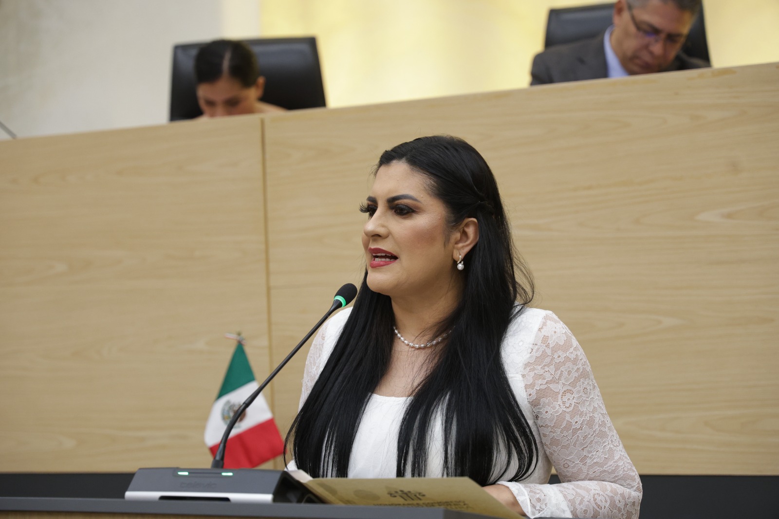 Presenta Delfina Pozos exhorto para construir e implementar una estrategia de seguridad