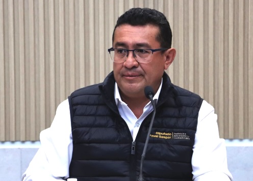 “El gobernador no violentó la soberanía del Poder Legislativo”: Pável Gaspar