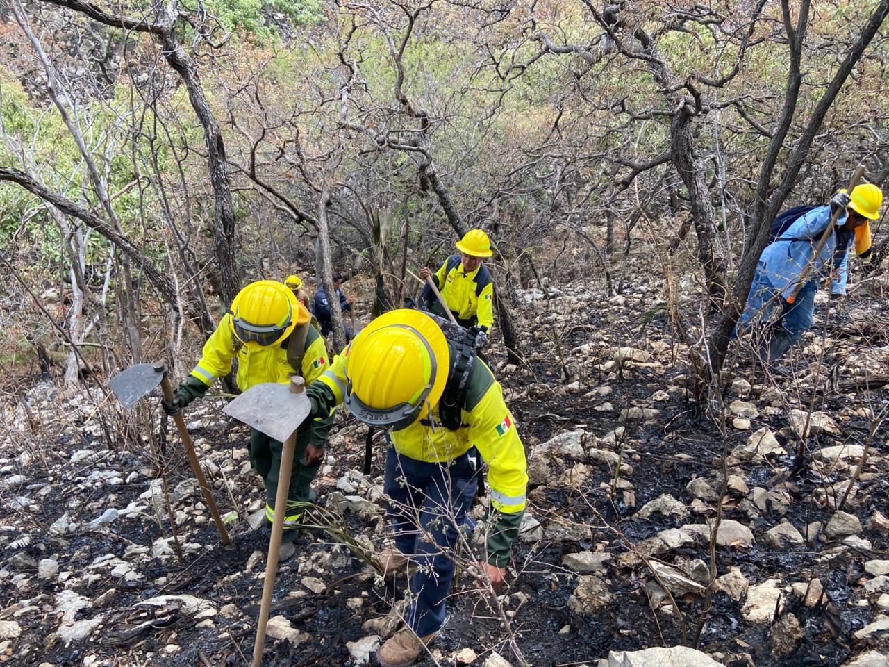 Logran sofocar incendio de Cohetzala