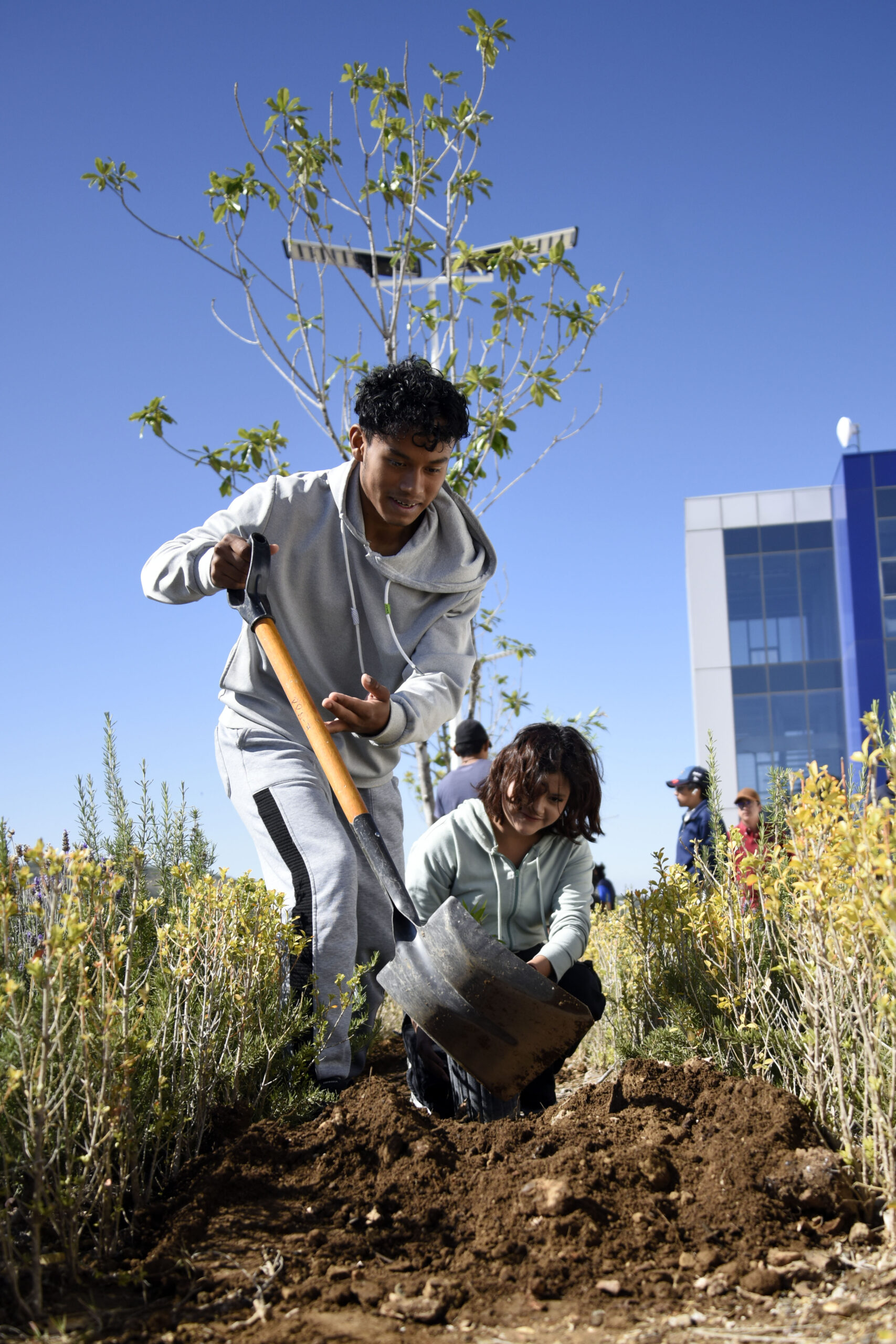 Jornada de plantación en CU2