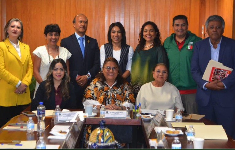 La diputada federal Rosario Orozco, nueva presidenta de la Comisión de Educación.