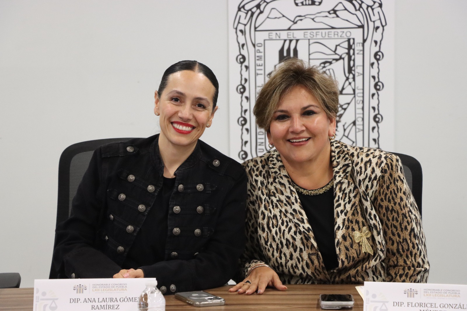 Diputada Ana Laura Gómez impulsa propuestas legislativas para el ordenamiento del espacio público