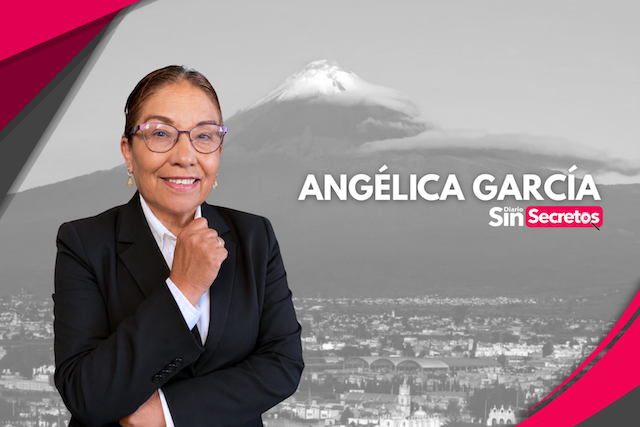 La depuración policial y la lucha contra el crimen organizado