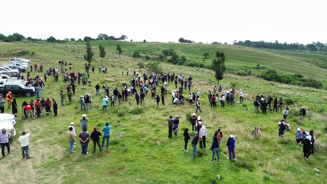 Magna jornada de reforestación en el Cerro Zapotecas